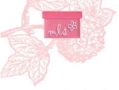 My Little Shoebox image
