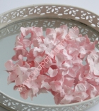 Gardeníublöð-Pink lítil image