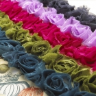 Websters Bloomers borðaspjald image