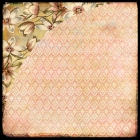 Curio-Camelia image