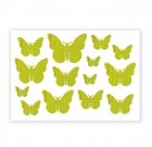 Butterfly Green Ledger Rubon image