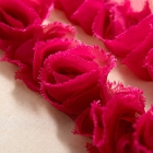 Websters Bloomers borðaspjald-Pink Kiss image