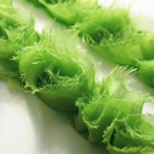 Websters Bloomers borðaspjald-Happy Green image