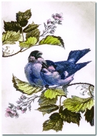 Two Sparrows image