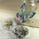 Meredith-Dove image