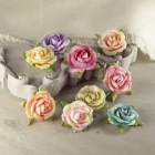 Sherwood Rose-Cottage image