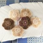 Harlow-Cashew image