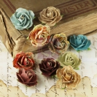 Coventry Rose-Romantique image