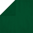 Double Dot-Evergreen image