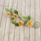 Button Vine-Songbird image