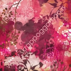 Gooseberry image