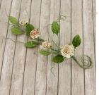 Pixie Vine-Songbird image