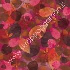 Russet image