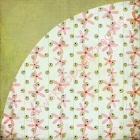 Kioshi-Jasmine & Olive image