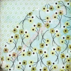 Kioshi-Water Lily image