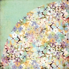 Kioshi-Camelia image