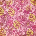 Cabbage Rose image